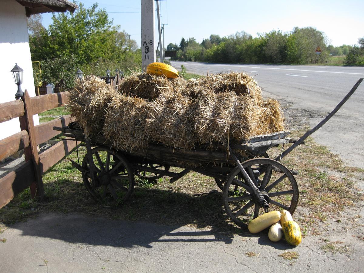 Transit Hotel Dyakovtsy Εξωτερικό φωτογραφία