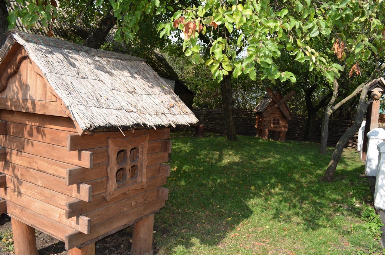 Transit Hotel Dyakovtsy Εξωτερικό φωτογραφία